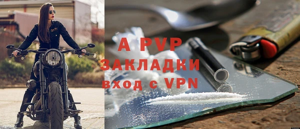 твердый Пересвет